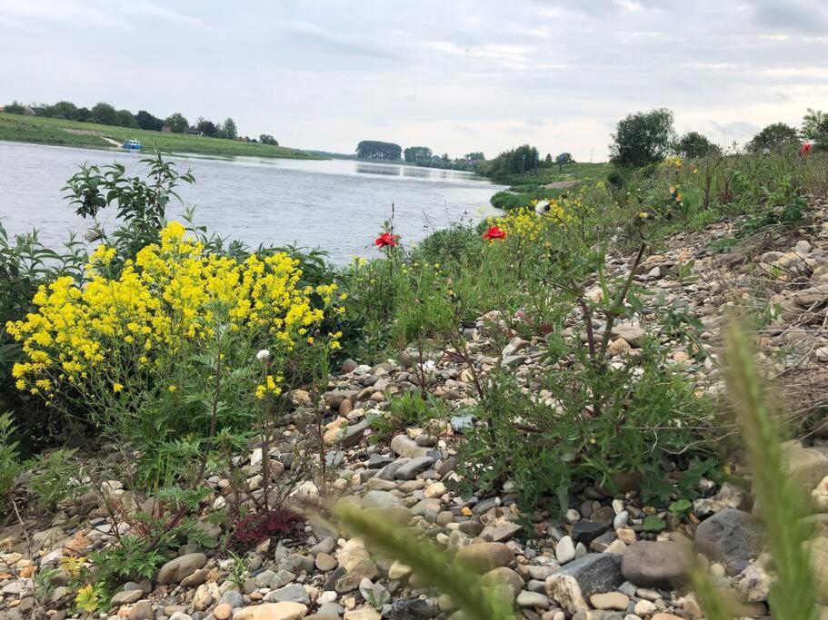 Casa Sandra Elisa Maasmechelen Kültér fotó